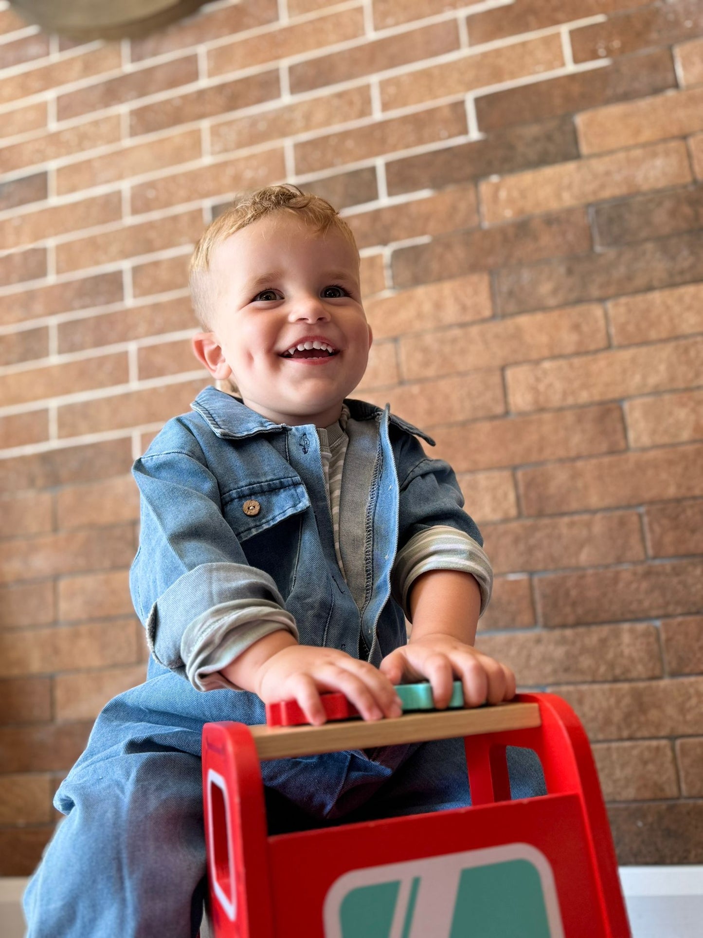 THE Toddler Denim Overalls