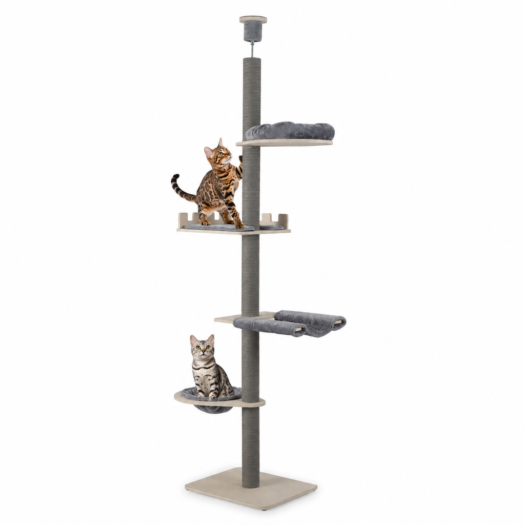 Little Leopards climbing furniture, workbook design 10, white studio background with Bengal cats