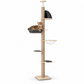Little Leopards climbing furniture, workbook design 13, white studio background with Bengal cats