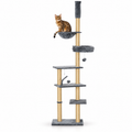 Little Leopards climbing furniture, workbook design 23, white studio background with Bengal cats