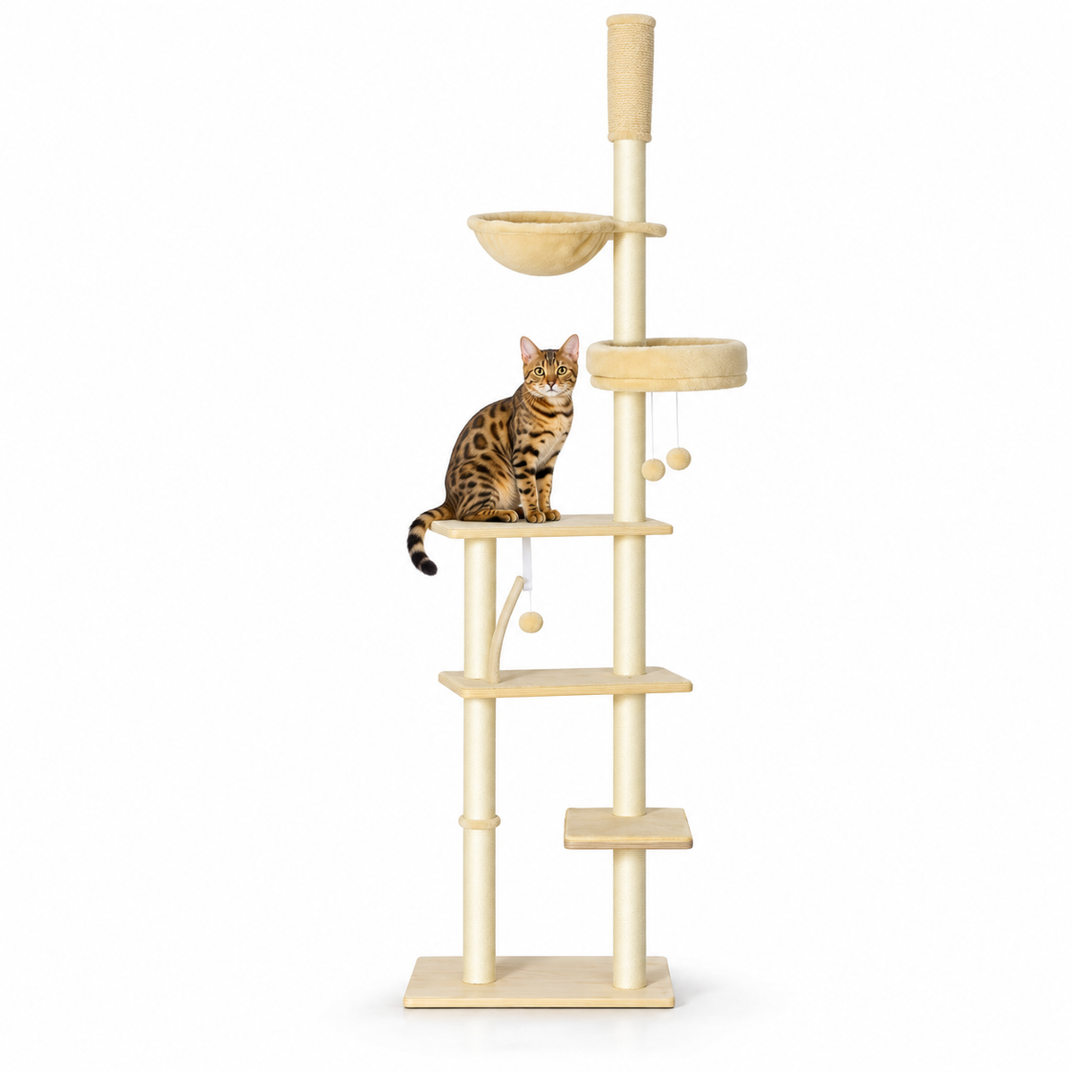 Little Leopards climbing furniture, workbook design 24, white studio background with Bengal cats
