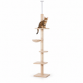 Little Leopards climbing furniture, workbook design 25, white studio background with Bengal cats
