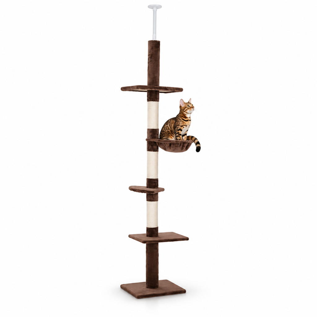 Little Leopards climbing furniture, workbook design 27, white studio background with Bengal cats