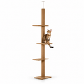 Little Leopards climbing furniture, workbook design 28, white studio background with Bengal cats