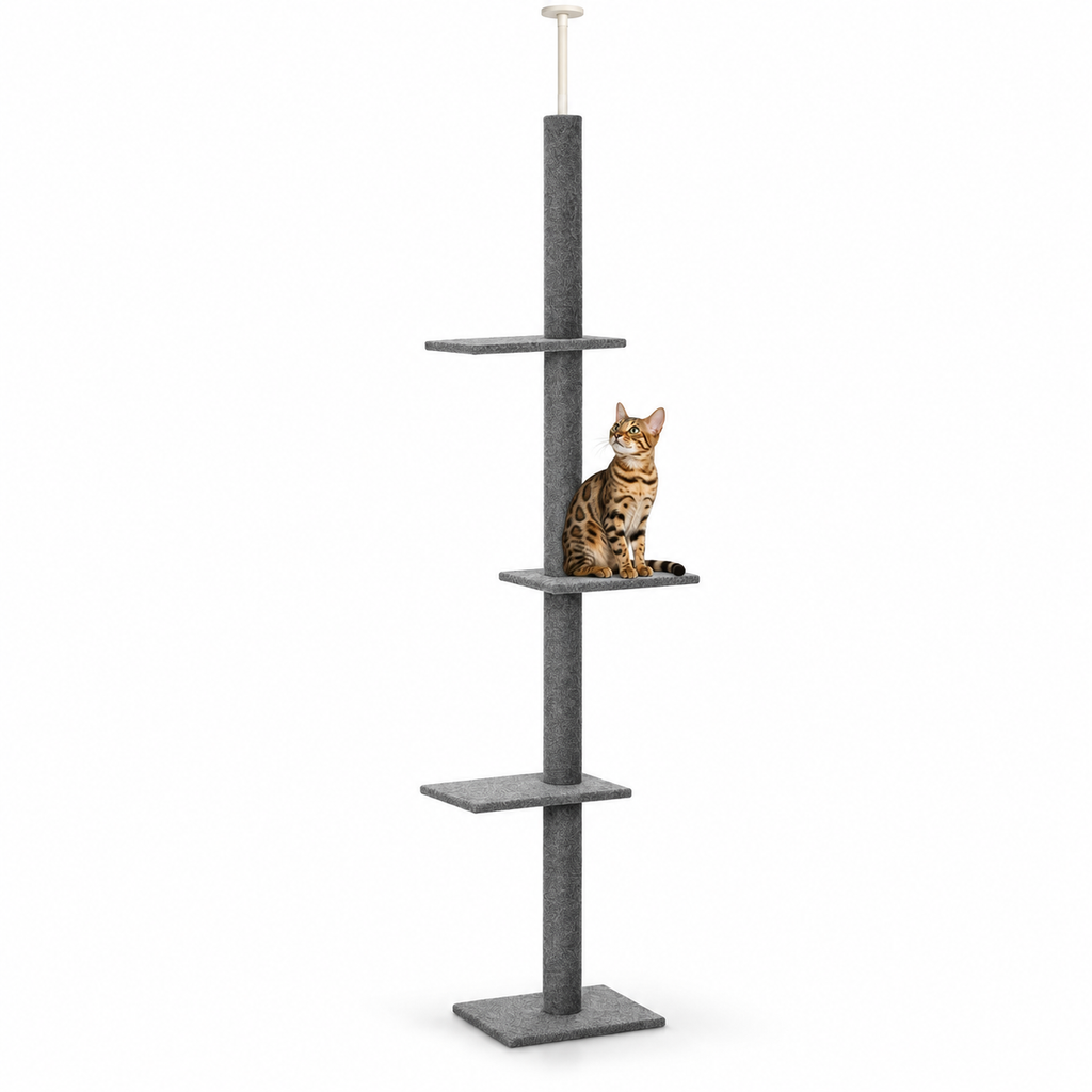 Little Leopards climbing furniture, workbook design 29, white studio background with Bengal cats