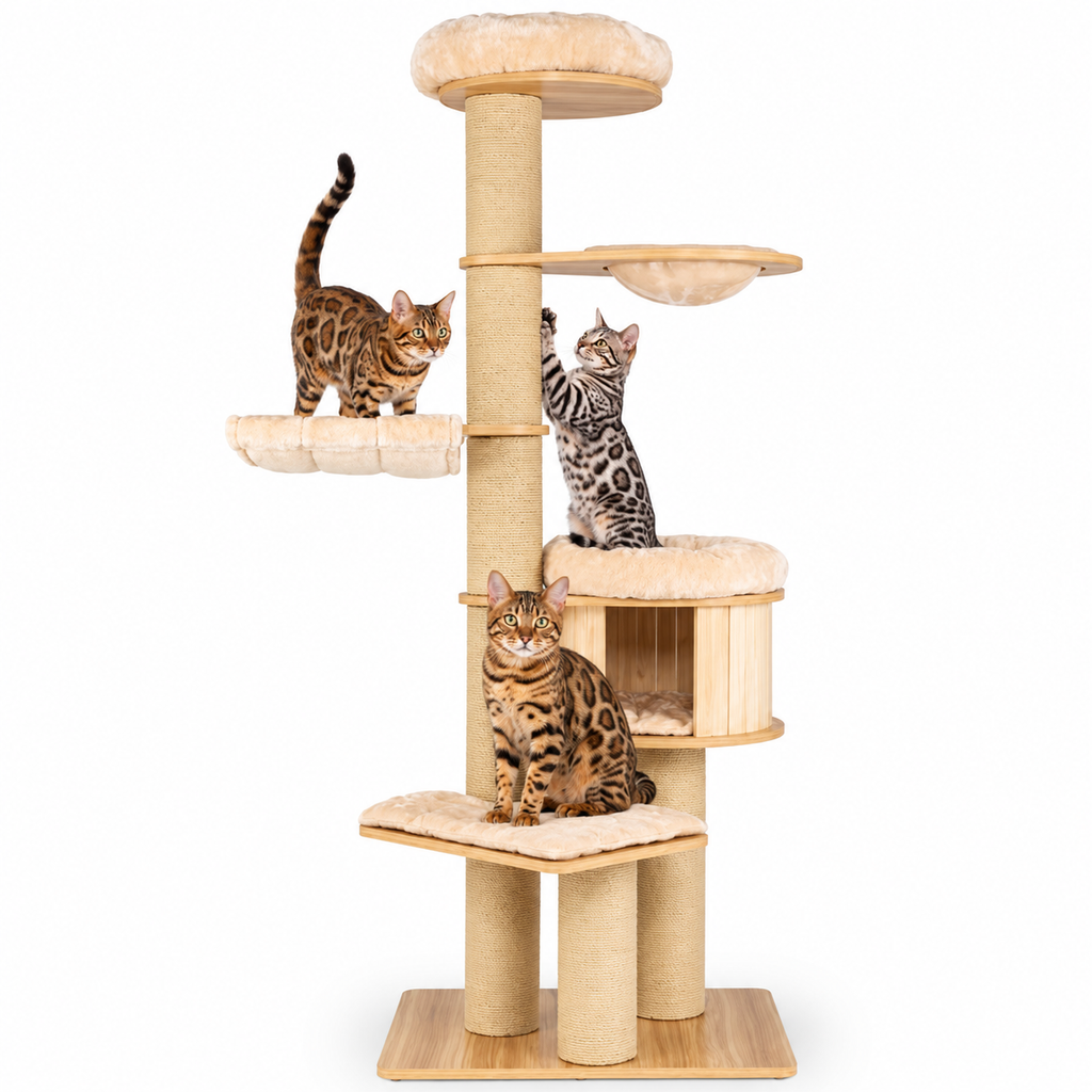 Little Leopards cat tree, workbook design 34, Bengal cats on white background