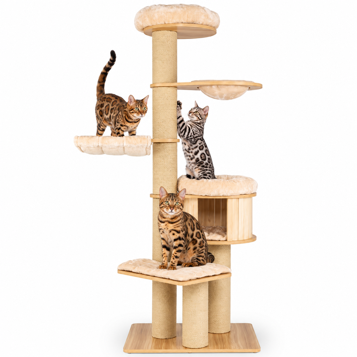 Little Leopards cat tree, workbook design 34, Bengal cats on white background