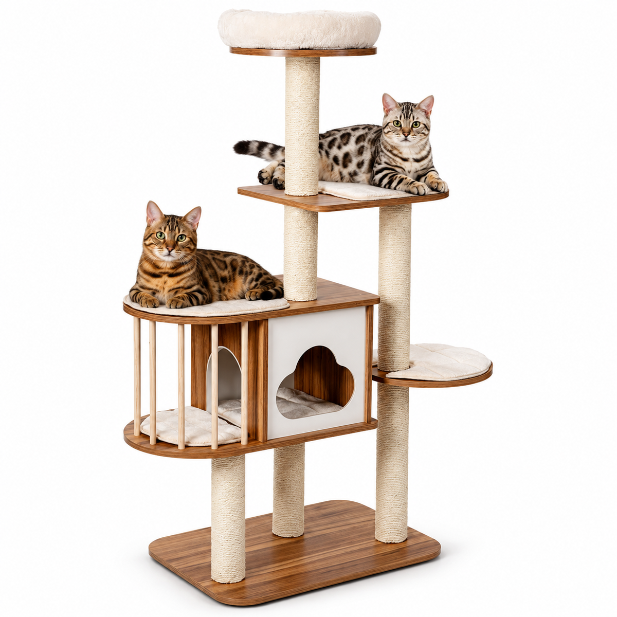 Little Leopards cat tree, workbook design 39, Bengal cats on white background
