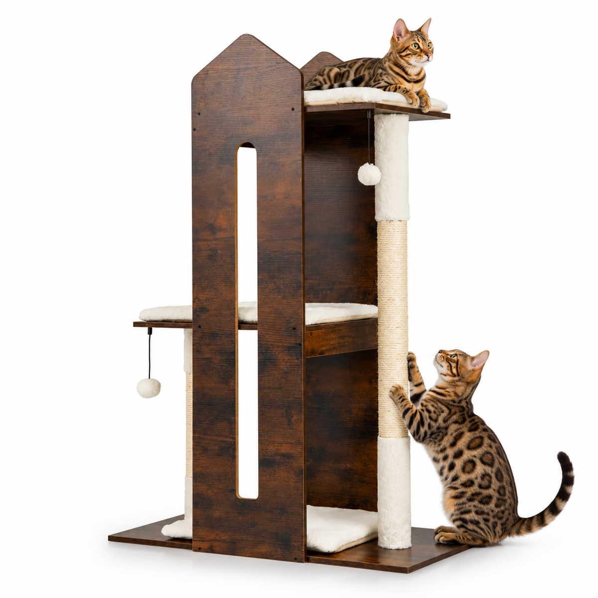 Little Leopards cat tree, workbook design 45, Bengal cats on white background