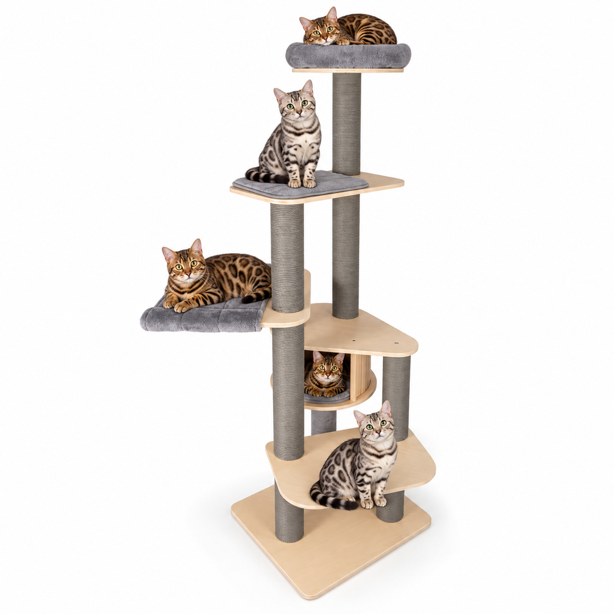 Little Leopards cat tree, workbook design 51, Bengal cats on white background