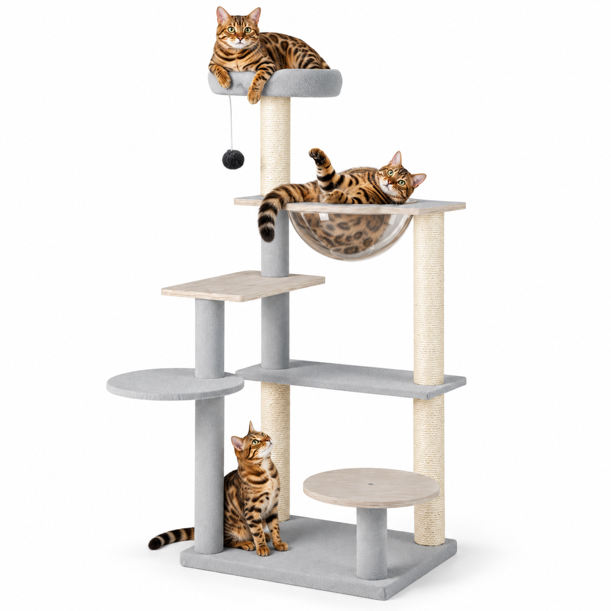 Little Leopards cat tree, workbook design 52, Bengal cats on white background