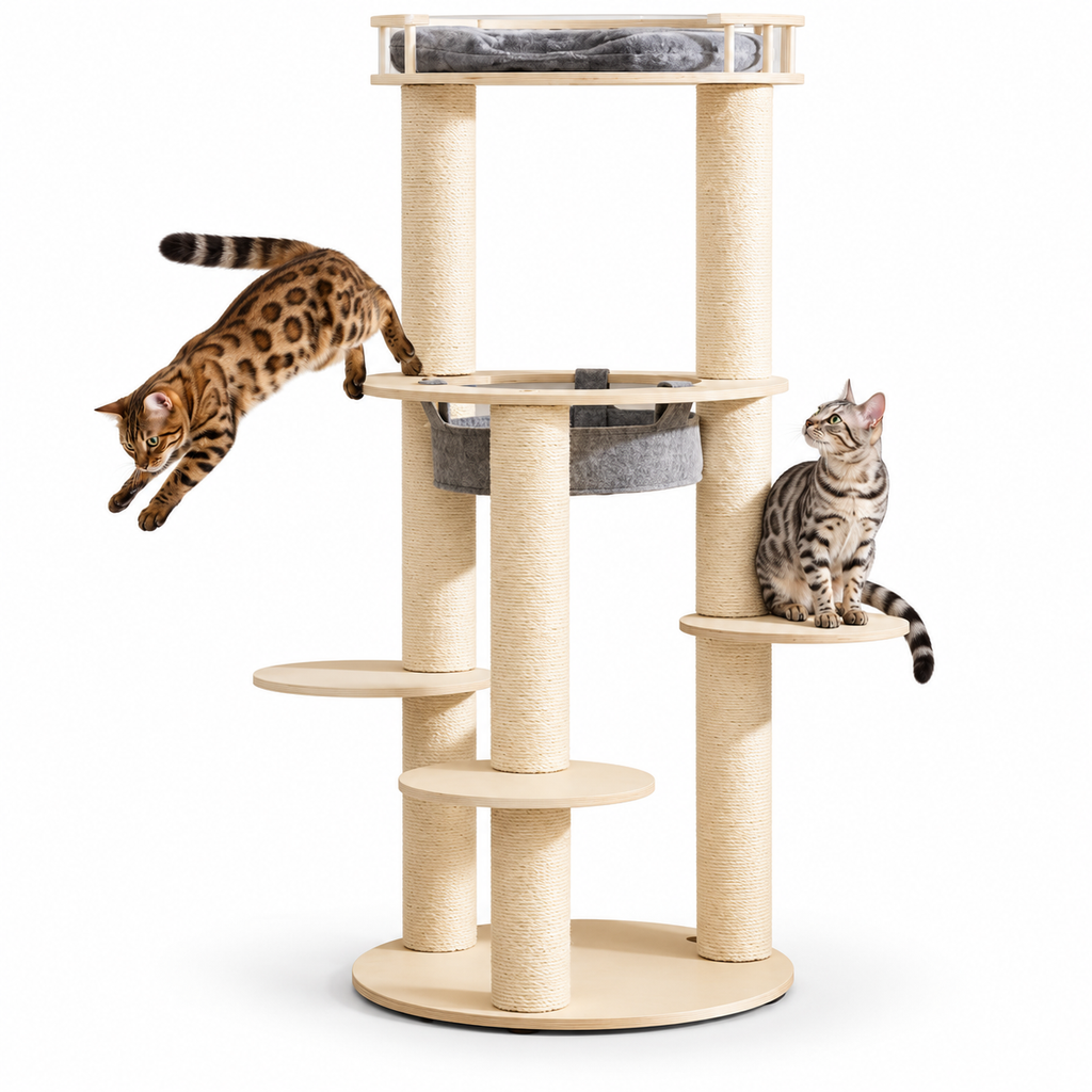 Little Leopards cat tree, workbook design 53, Bengal cats on white background
