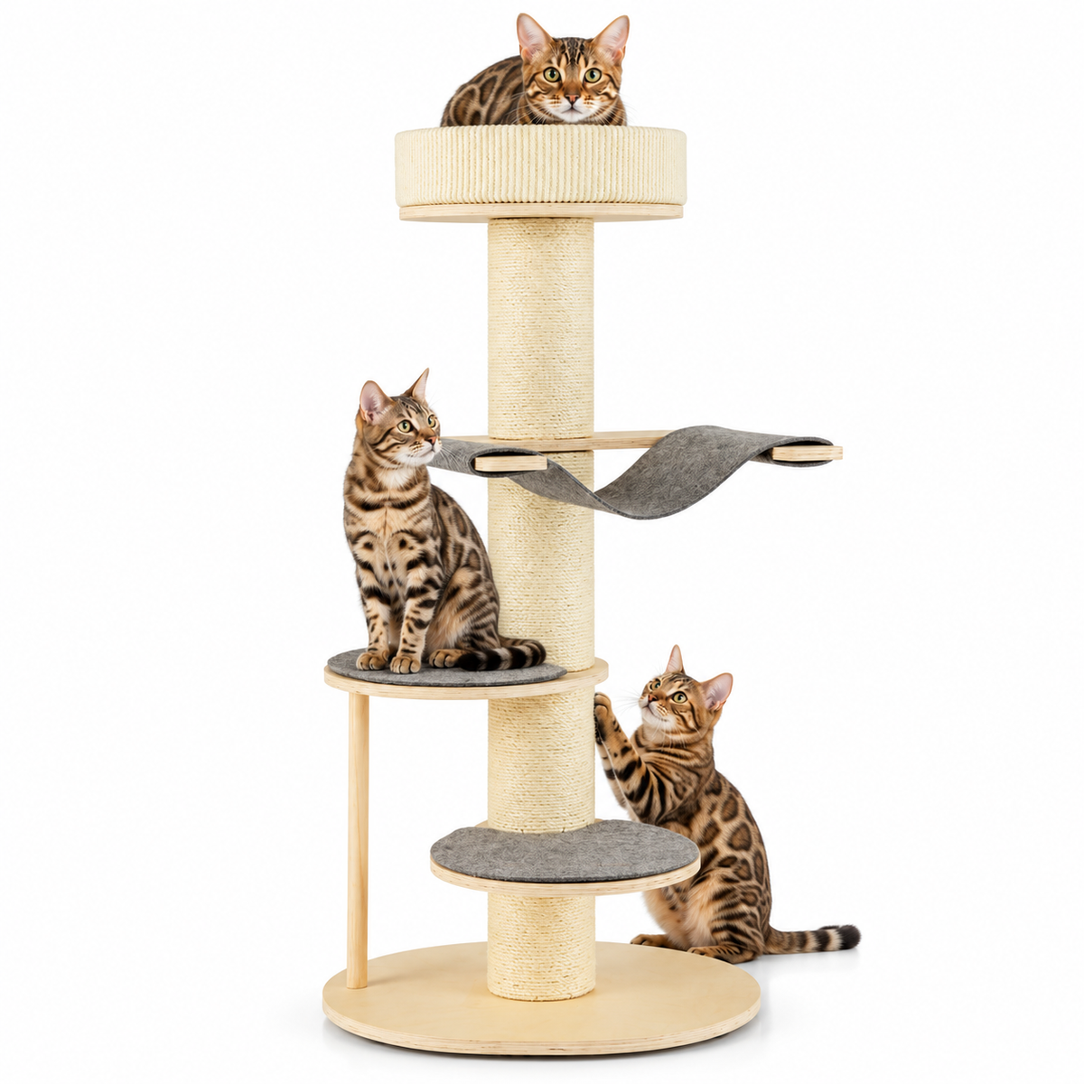 Little Leopards cat tree, workbook design 54, Bengal cats on white background