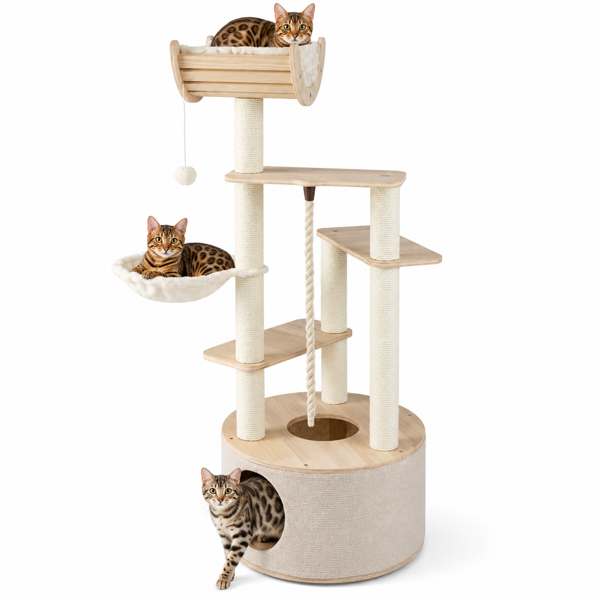 Little Leopards cat tree, workbook design 55, Bengal cats on white background