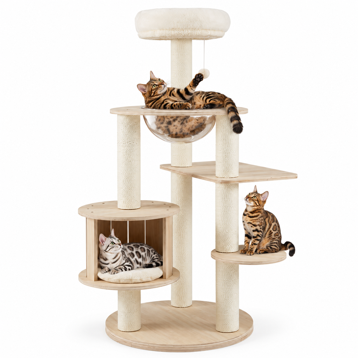 Little Leopards design 56, Bengal cats on white background