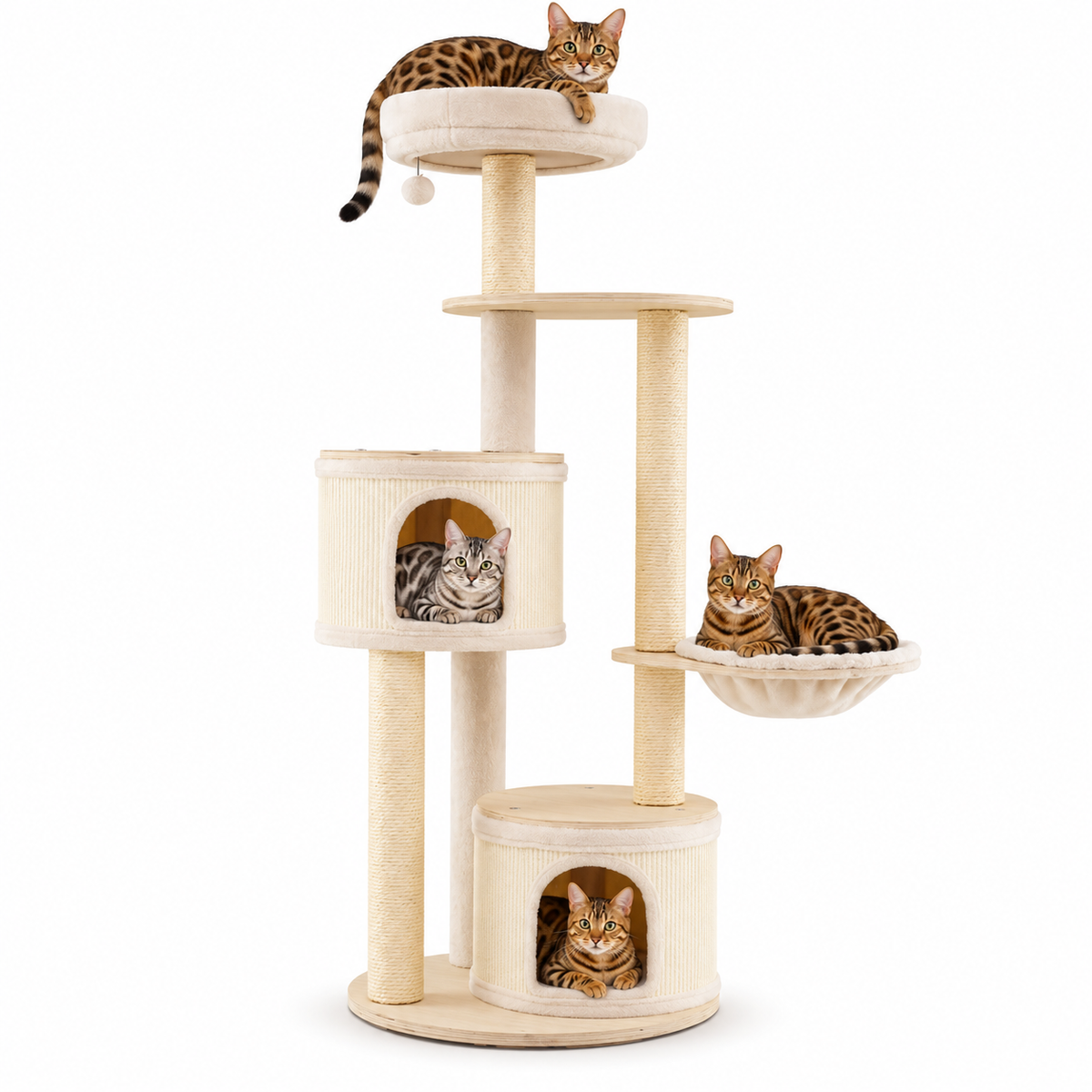 Little Leopards design 58, Bengal cats on white background