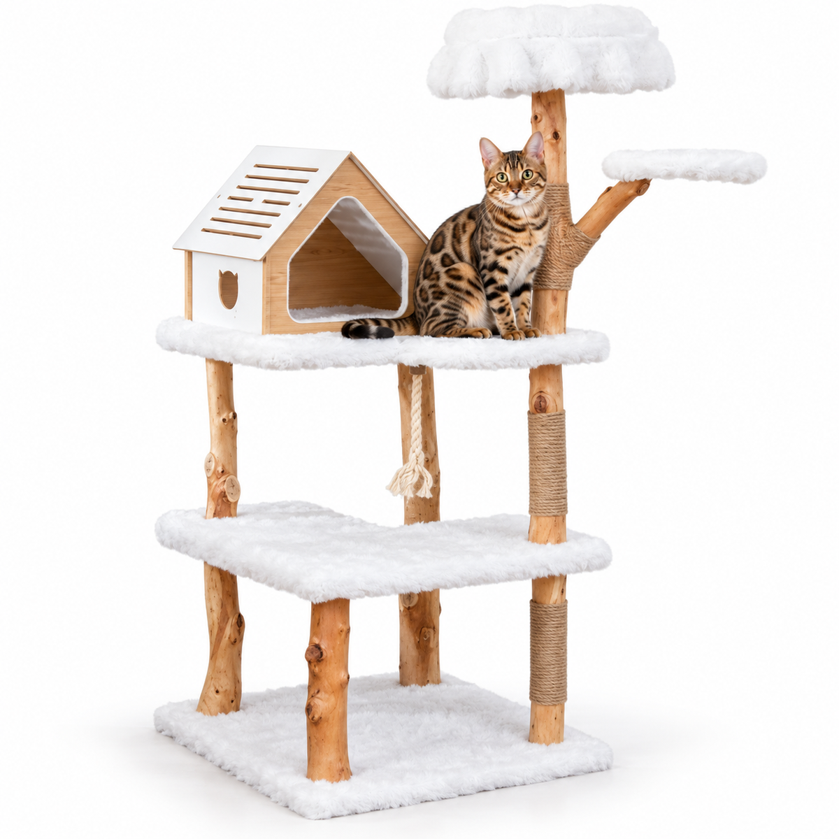 Little Leopards design 67, Bengal cats on white background