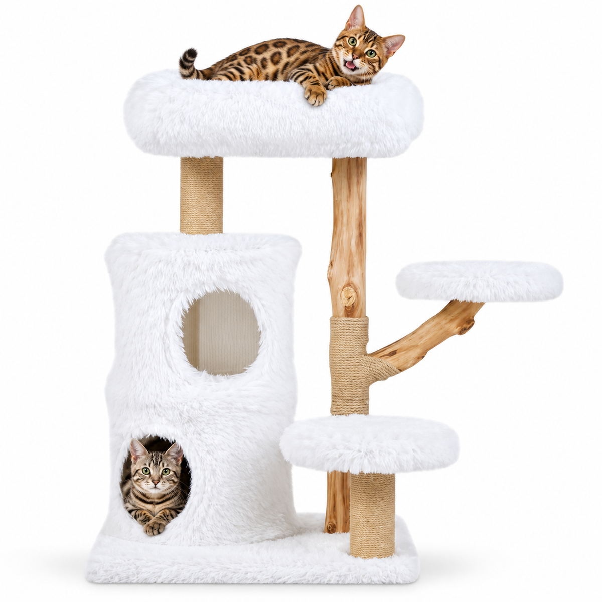 Little Leopards design 70, Bengal cats on white background