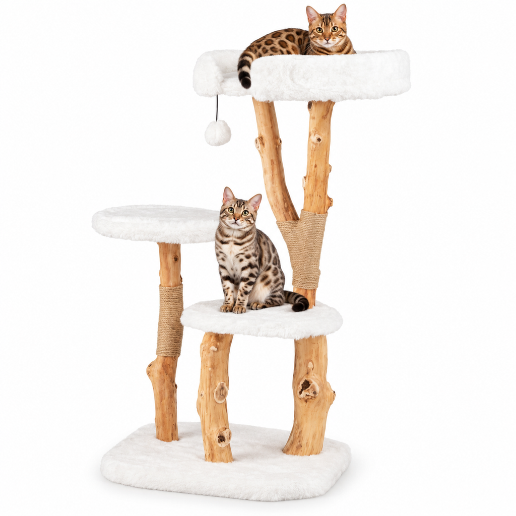 Little Leopards design 71, Bengal cats on white background
