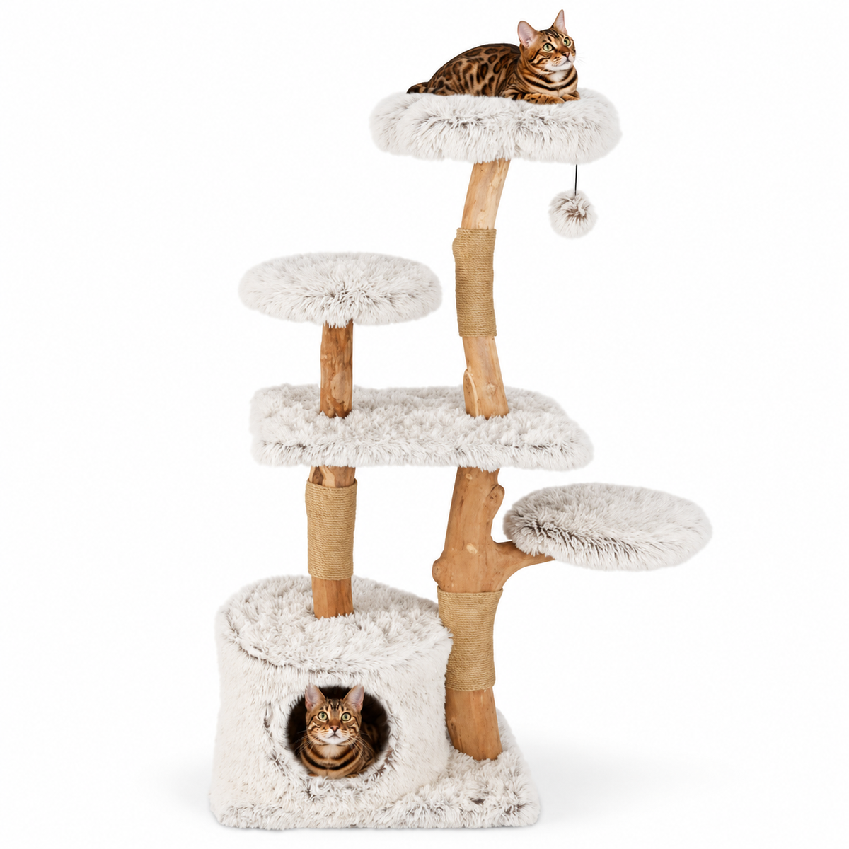 Little Leopards design 72, Bengal cats on white background