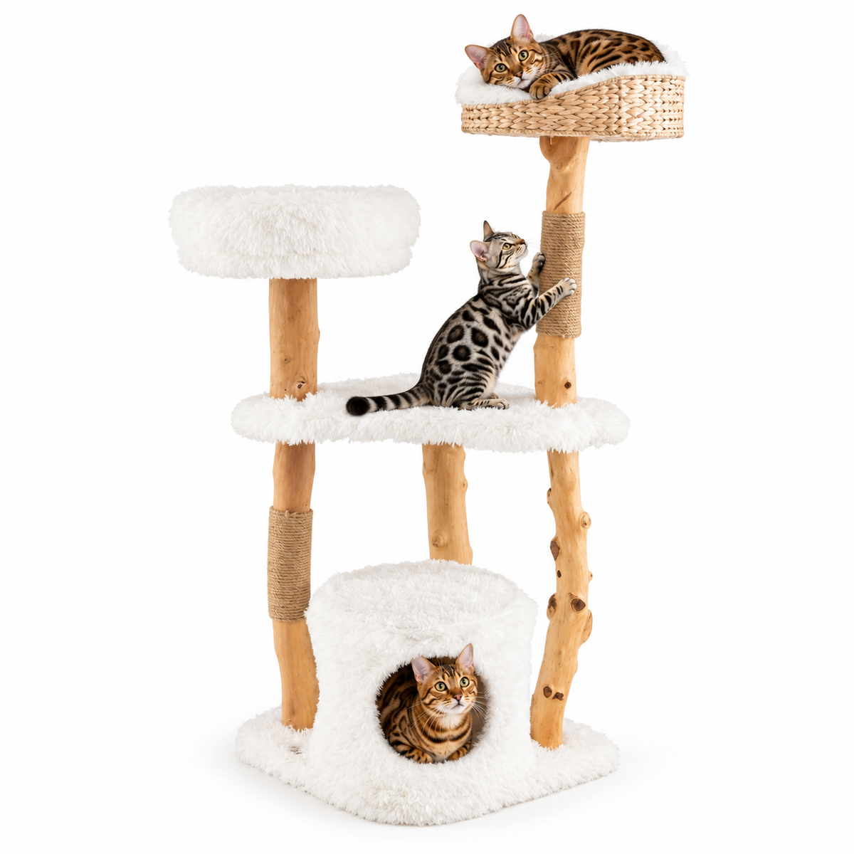 Little Leopards design 76, Bengal cats on white background