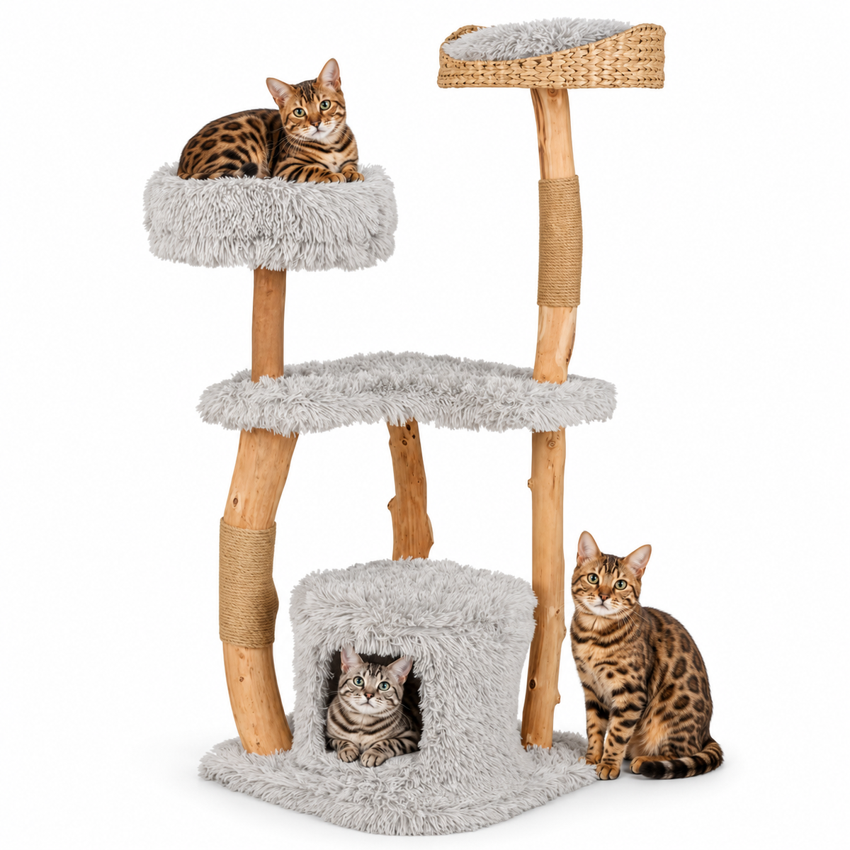 Little Leopards natural branch tree with Bengals on white background