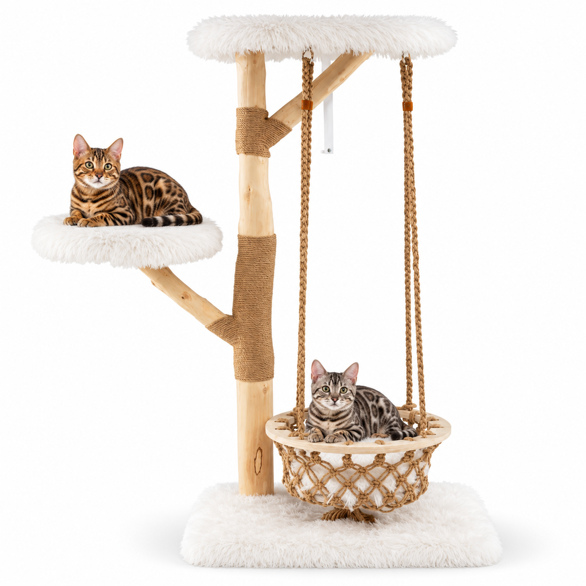 Little Leopards design 79, Bengal cats on white background