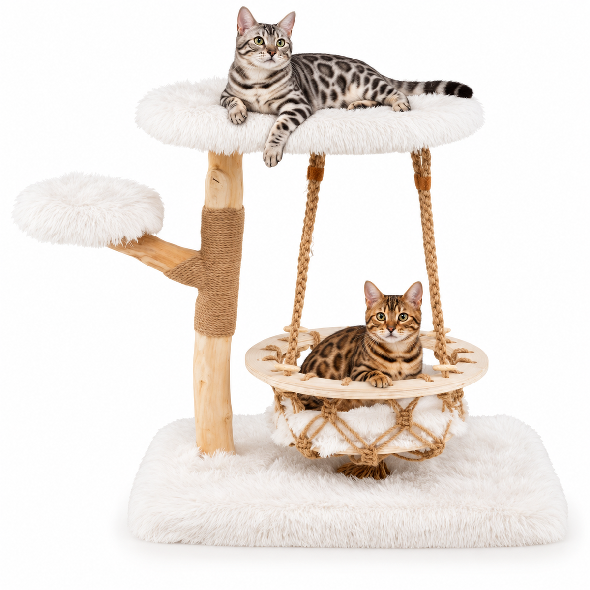 Little Leopards design 80, Bengal cats on white background