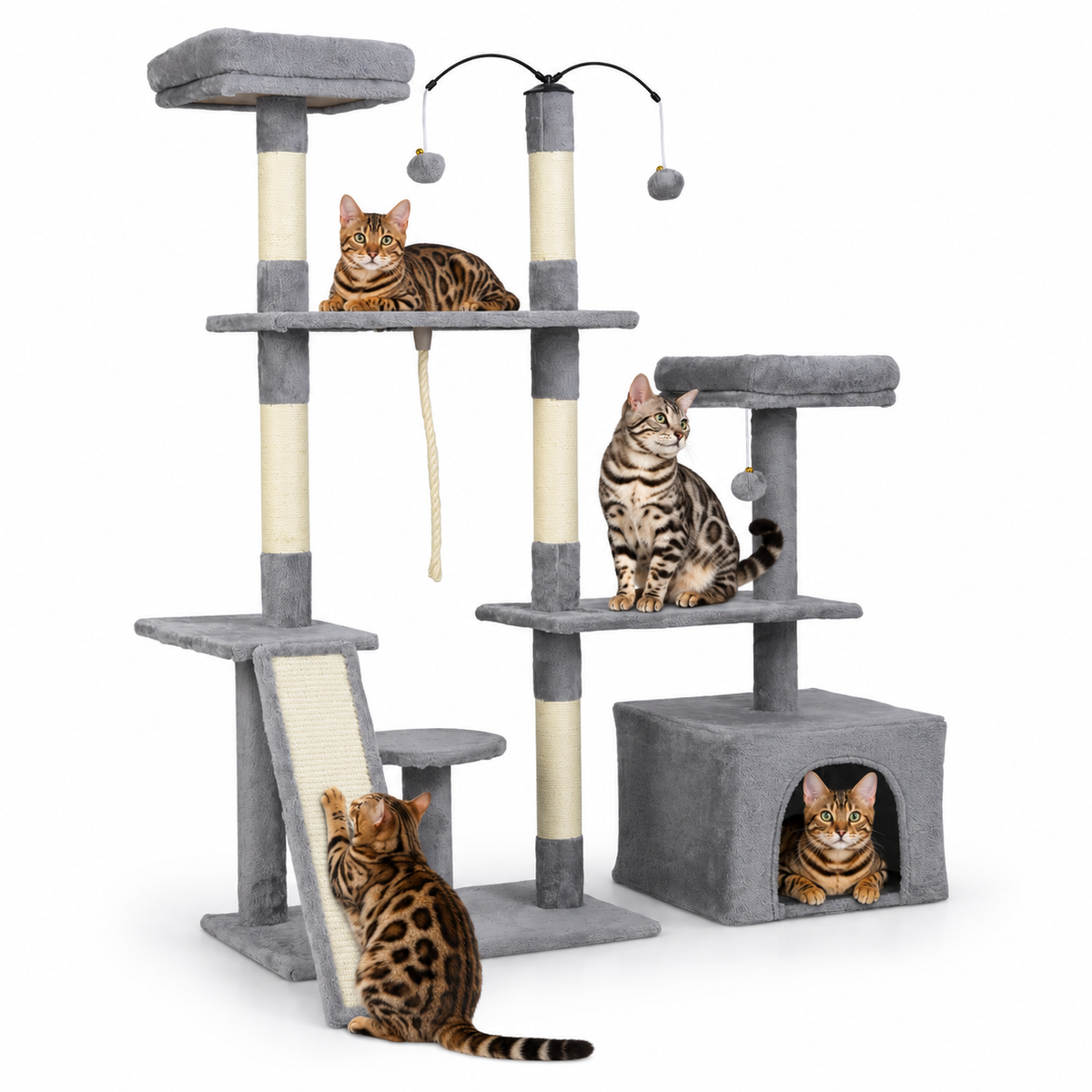 Little Leopards design 96, Bengal cats on white background