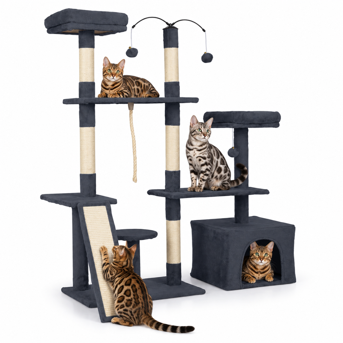 Little Leopards design 97, Bengal cats on white background